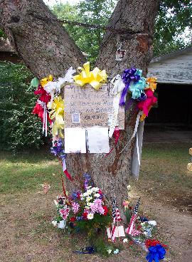 tree.jpg